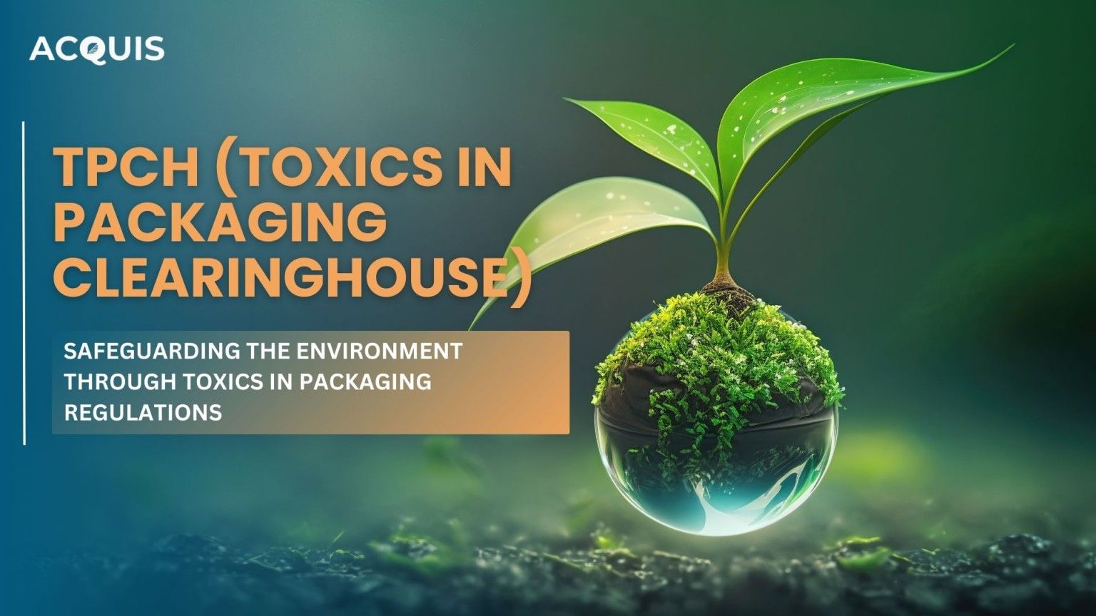 Toxics in Packaging Clearinghouse (TPCH): A Green Initiative for Safer Packaging