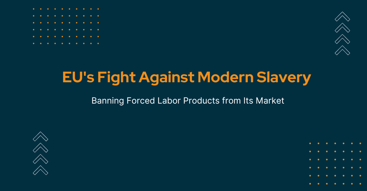  EU's Journey to Ban Forced Labor Products