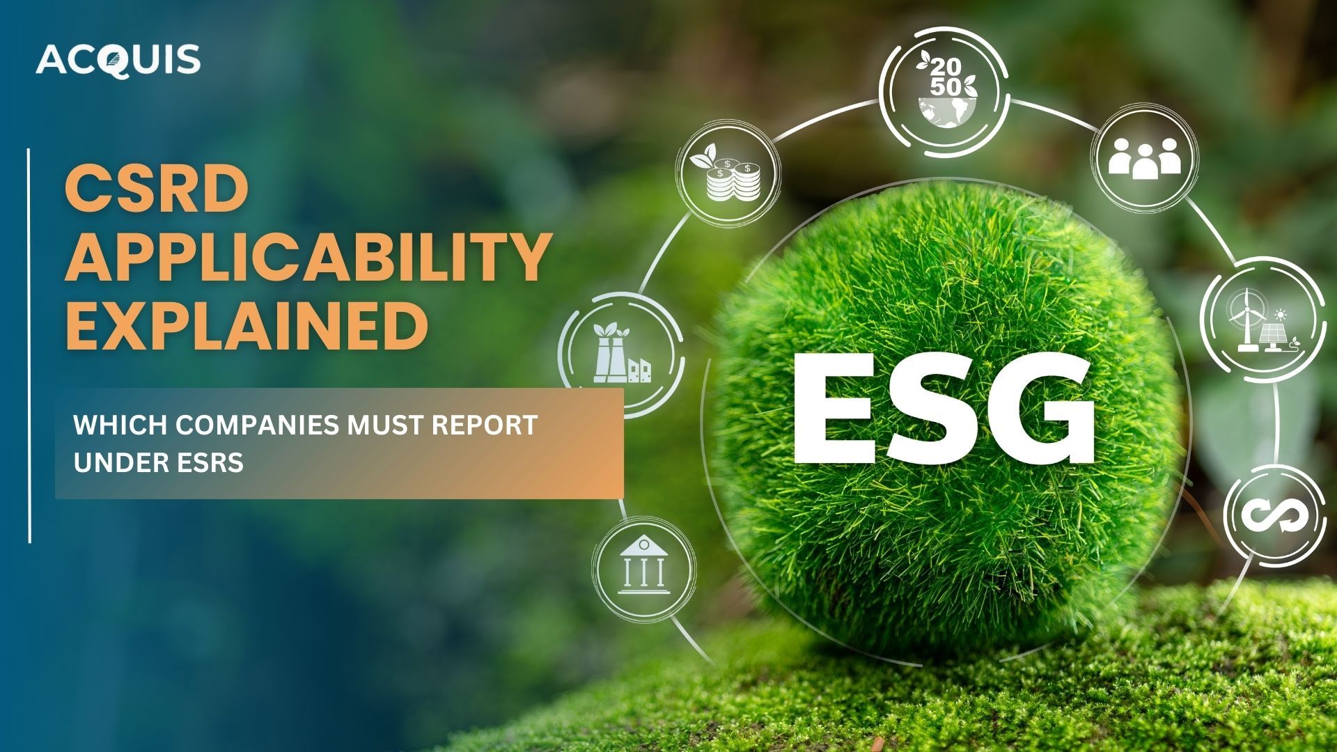 CSRD Applicability Explained: Which Companies Must Report Under ESRS