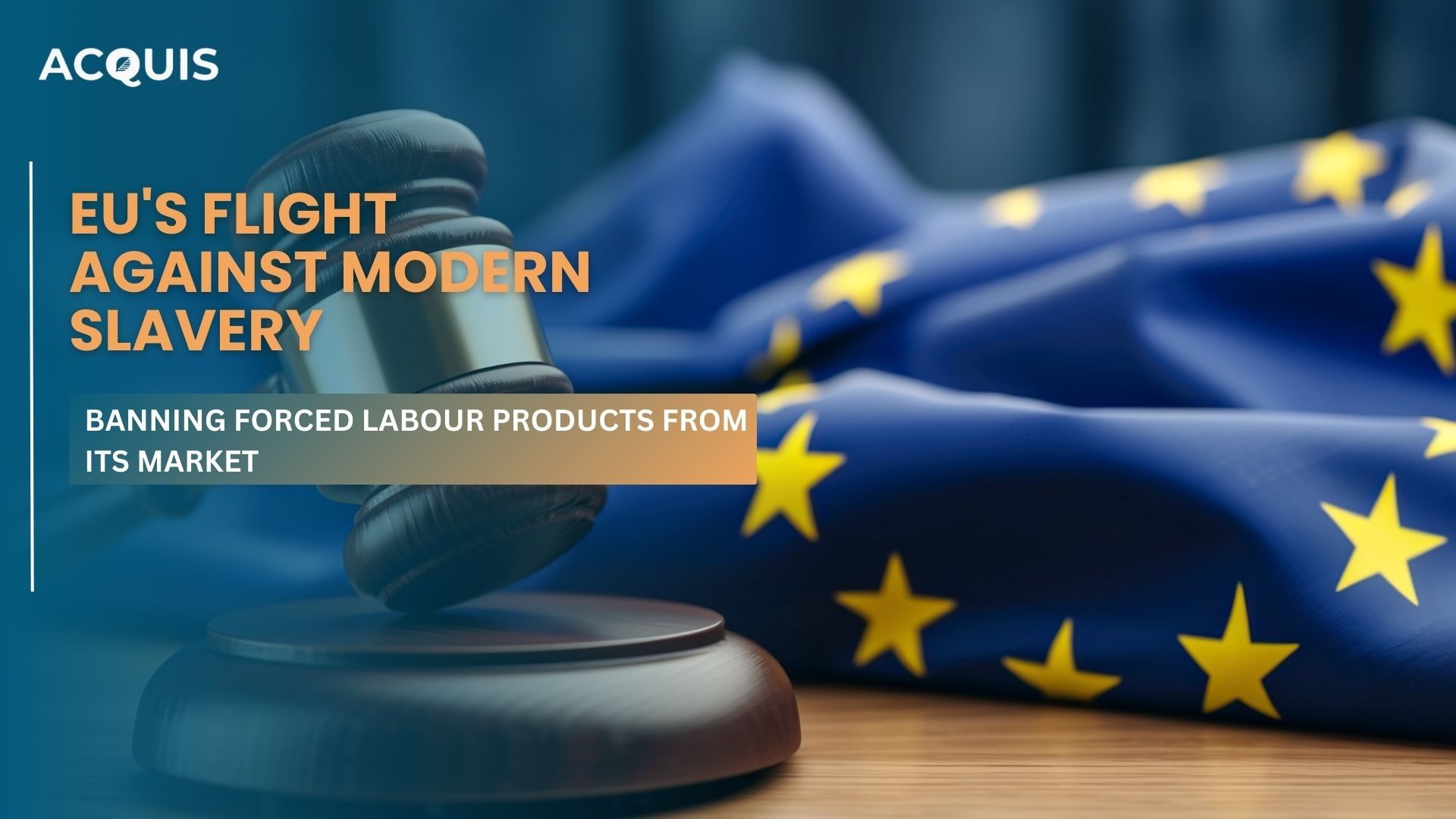  EU's Journey to Ban Forced Labor Products
