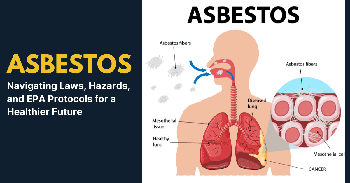 Asbestos - Navigating Laws, Hazards, and EPA Protocols for a Healthier Future