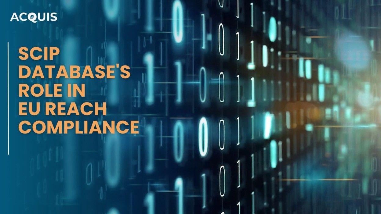 Understanding the SCIP Database and the Connection with EU REACH Regulations
